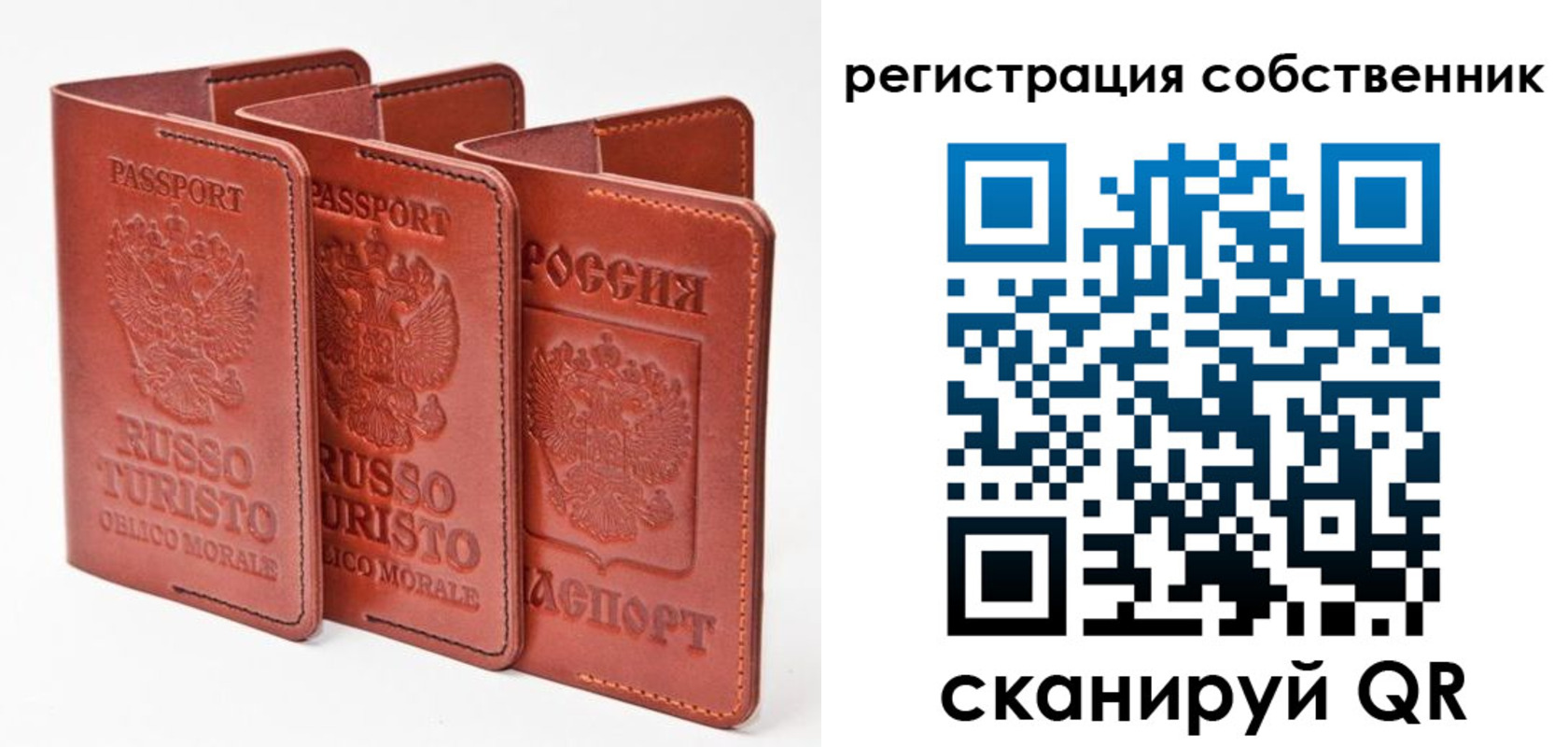 прописка поиск в Светлом